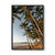 Palm Cove, QLD