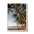 Palm Cove, QLD