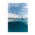 K'gari Yacht Dive, QLD