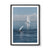K'gari Whale Wave, QLD