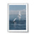 K'gari Whale Wave, QLD