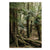 Tasmania Forest, TAS