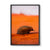 Echidna, Shark Bay, WA