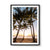 Palm Cove (1), QLD
