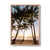 Palm Cove (1), QLD