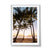 Palm Cove (1), QLD