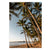 Palm Cove (2), QLD