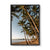 Palm Cove (2), QLD