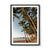 Palm Cove (2), QLD