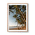 Palm Cove (2), QLD
