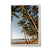 Palm Cove (2), QLD