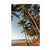 Palm Cove (2), QLD