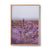 Lavender, TAS