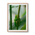 Green Tree Frog, QLD