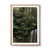 Wentworth Falls, NSW